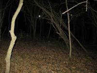 Chicago Ghost Hunters Group investigates Robinson Woods (149).JPG